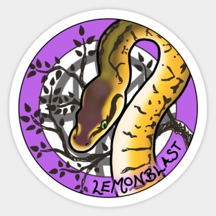 Lemonblast Royal Python Sticker